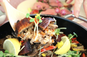 ［志布志市役所 様］志布志市の食の認知・販路拡大のためのPR施策を実施